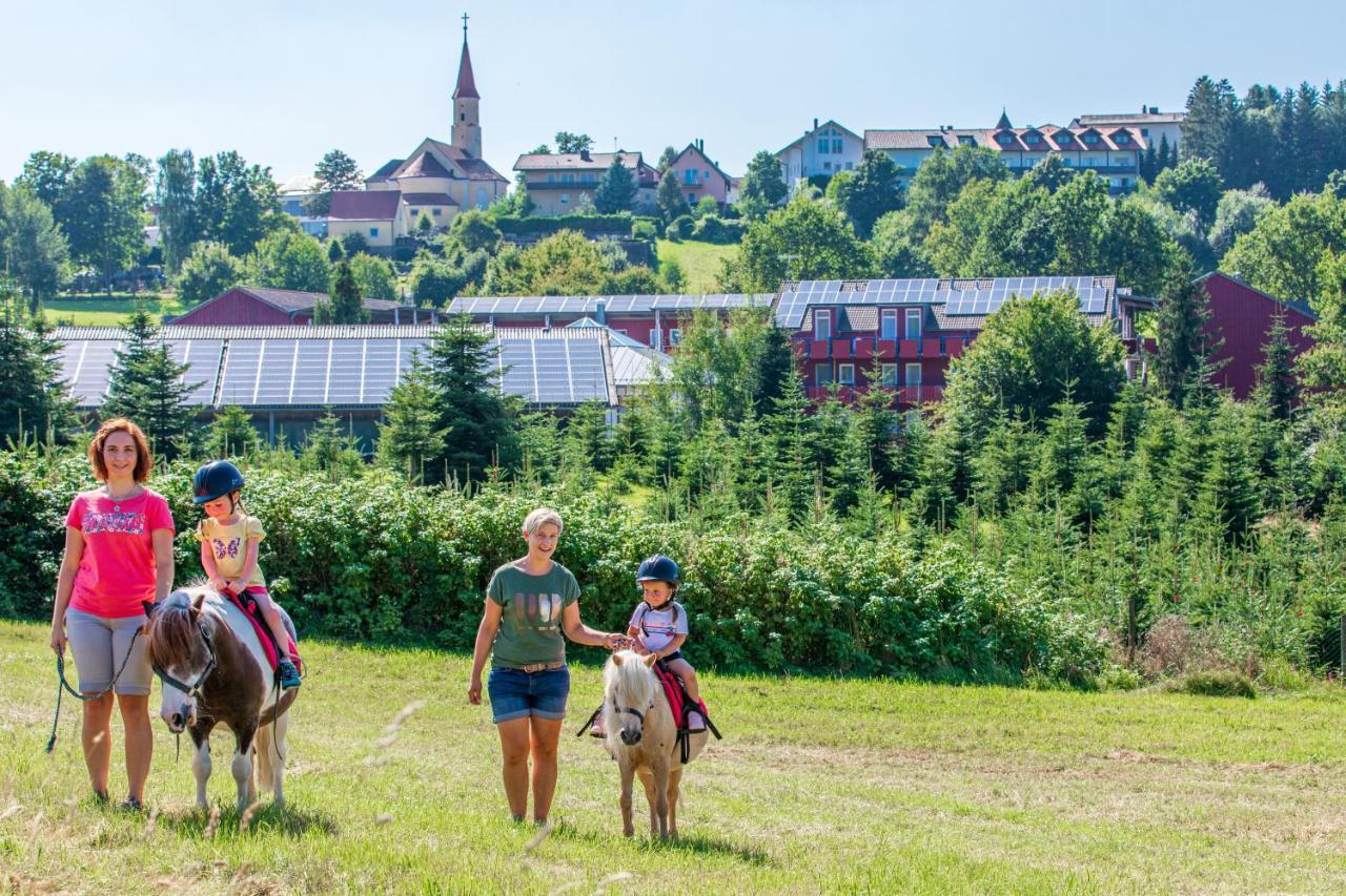 Familienhotel Reiterhof Runding Zewnętrze zdjęcie