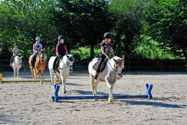 Familienhotel Reiterhof Runding Zewnętrze zdjęcie