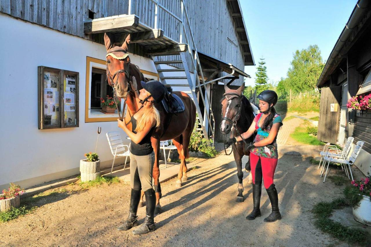 Familienhotel Reiterhof Runding Zewnętrze zdjęcie